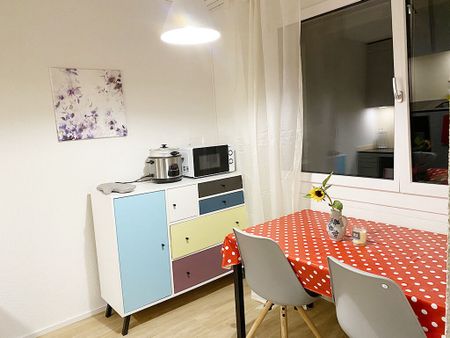 Appartement meublé confortable de 1,5 pièce avec vue sur la ville à Zurich - Photo 3