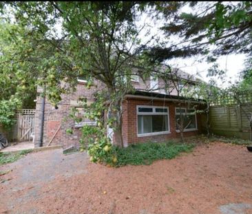 1 Bed Detached House, The Highway, BN2 - Photo 4