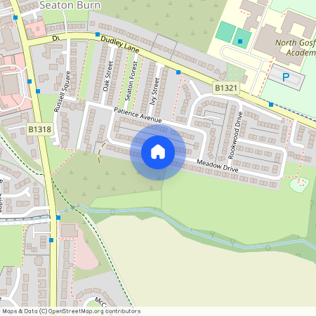 38, Meadow Drive, Seaton Burn, Newcastle Upon Tyne, NE13 6HJ