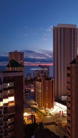 Benidorm Levante, winter /summer - Photo 3