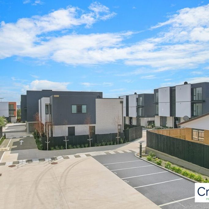 Brand New Apartment At The Heart Of Te Atatu South - Photo 1