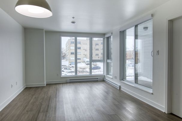9675 Av. Papineau - Photo 1