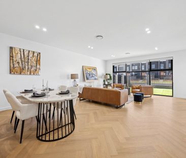 1 Maggie Scott Terrace, Whitlam ACT 2611 - House For Rent | Domain - Photo 2