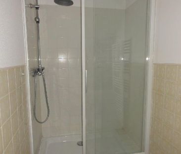 Location Appartement 1 pièce Meublé 20m² LE CREUSOT 71200 - Photo 3