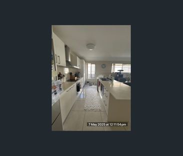 11 Tiffany Way, Pimpama, Qld 4209 - Photo 6