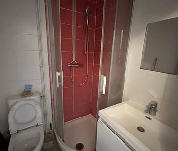 Location Appartement 1 pièce 14m² GRENOBLE 38000 - Photo 4