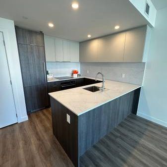 Brand new 1 Bedroom Condo Downtown - Photo 3