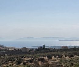 Βίλα για ενοικίαση - Καλύβια Θορικού, - Φωτογραφία 5