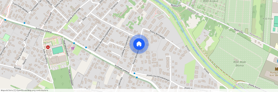 ul. Piotra Borowego, Zwierzyniec, Zwierzyniec, Kraków, małopolskie