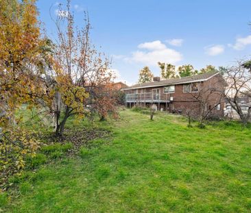 15 Belconnen Way, Weetangera ACT 2614 - House For Rent | Domain - Photo 5