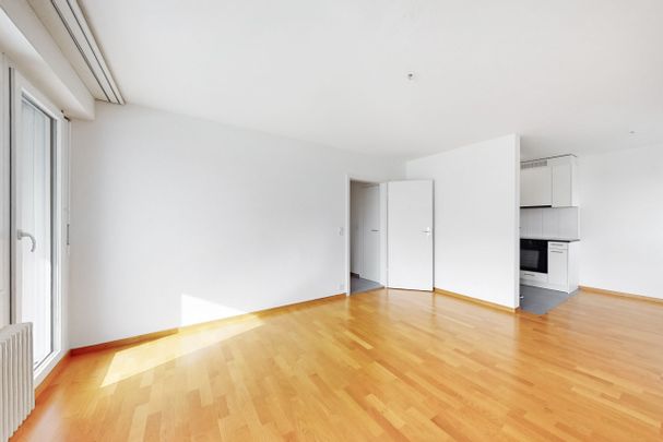 RENT WITHOUT DEPOSIT - Living near the Rhine - Foto 1