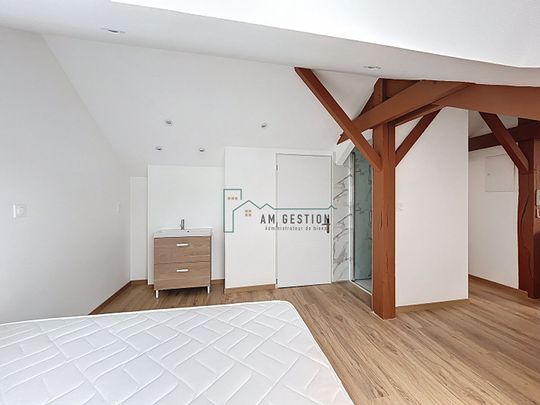 Location Appartement 1 pièce 20m² - Photo 1