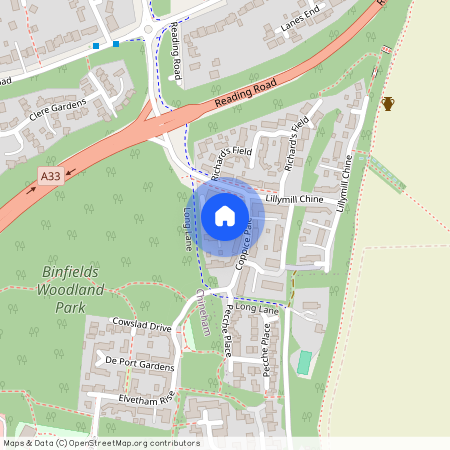 Coppice Pale, Chineham, Basingstoke