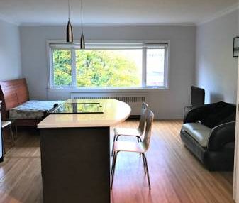 AVAILABLE April 1st-Pet Allowed Furnished Studio@ 1540 Haro-RENOVATED - Photo 3