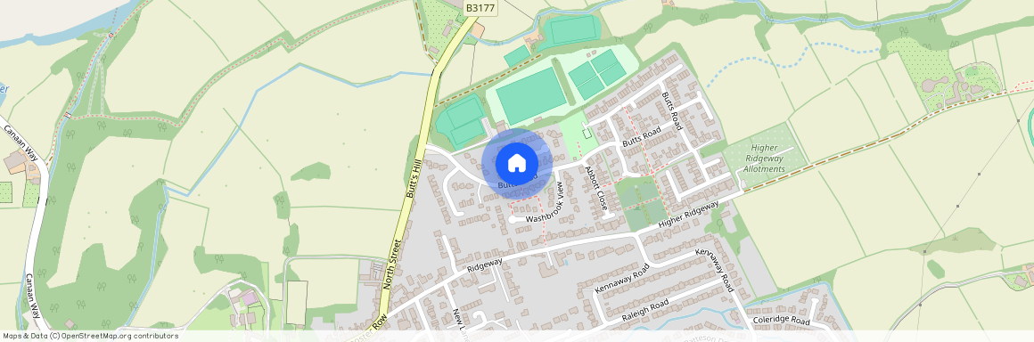 * Butts Road * Ottery St Mary *