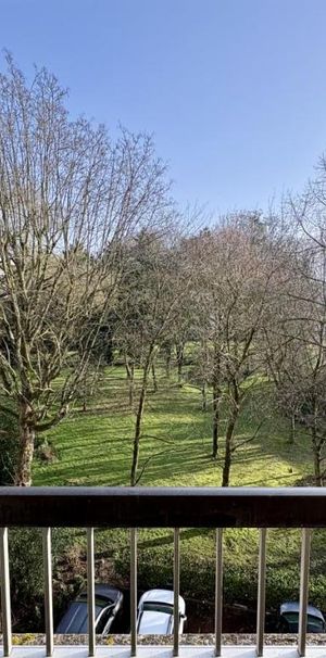 LOOS : APPARTEMENT T2 + BALCON - Photo 1