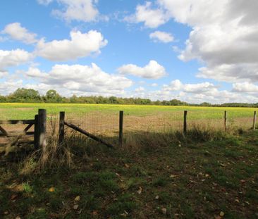 4 bedroom detached house to rent - Photo 3