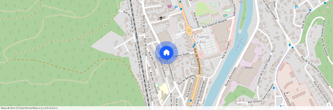 1 rue du Champbeauvert, EPINAL, 88000