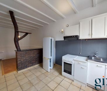Location Appartement 1 pièce 24m² GRENOBLE 38000 - Photo 1