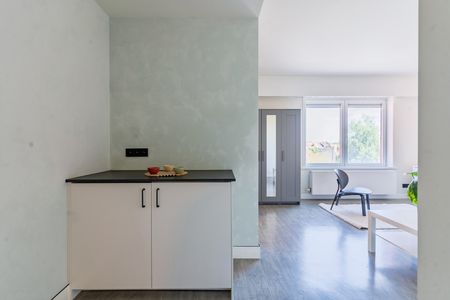 Gerenoveerde studentenkamers & studio’s - Photo 3