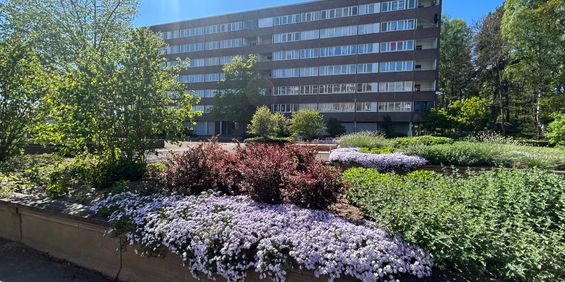 Liegatan, Västerås - Photo 3