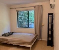 Forest Lake - Photo 4