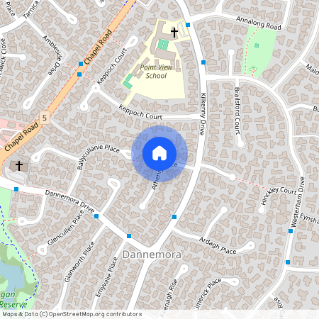 11 Athenry Place, Manukau City, Dannemora