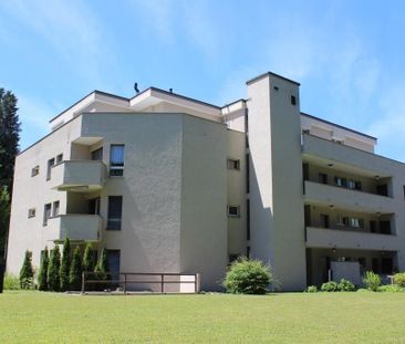 Gemütliche 2.5-Zimmerwohnung mit Balkon - Photo 2