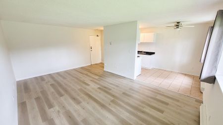 Pinetree Apartments - Photo 3