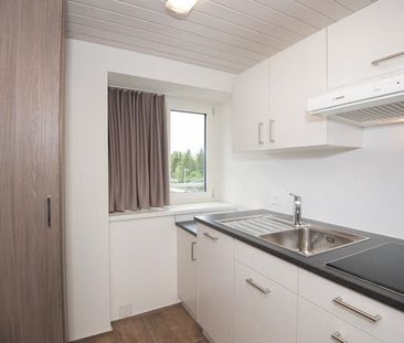 "„möbliertes Studio in sehr zentraler Lage in Root“" - Foto 5