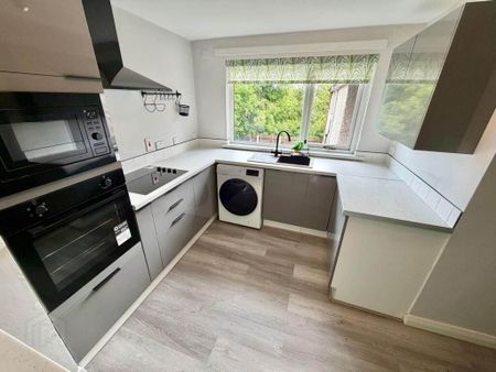 72e Doagh Road, Ballyclare, BT39 9EF - Photo 4