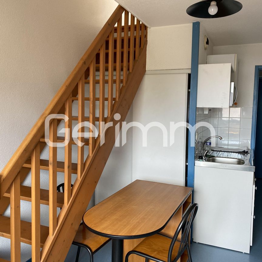 Location Appartement 1 pièce 24,38 m² - Photo 1