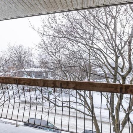 Loft à louer Limoilou juillet 2026 - Photo 4