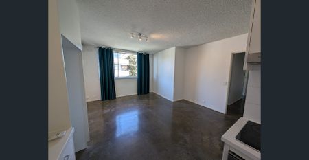 Light and Bright Two Bedroom Apartment - Photo 3