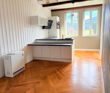 2.5-ROOM APARTMENT WITH NEWLY RENOVATED CACHE - Photo 3