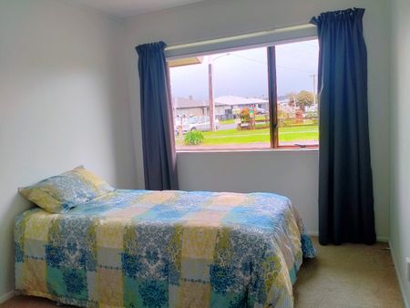 Tidy Two Bedroom - Katikati - Photo 4