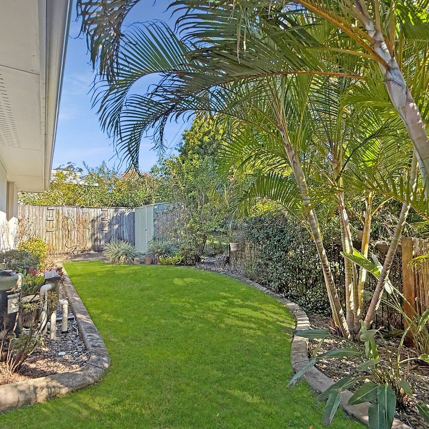 Gorgeous 4 Bedroom Home in Buderim In-Ground Swimming Pool!! - Photo 1