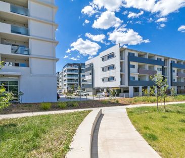 43/15 Limburg Way, Greenway ACT 2900 - Apartment For Rent | Domain - Photo 2