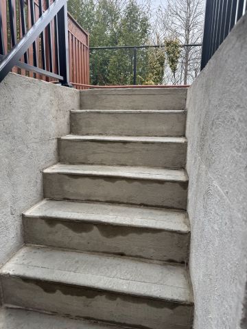 For Lease - 44 Isabella Street Unit# Bsmt, Markham, Ontario - Photo 3