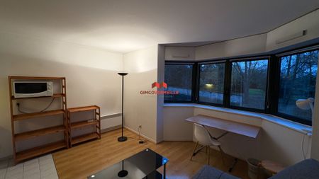 Location Appartement 1 pièce 21m² - Photo 3