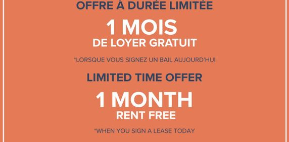 Bachelor Available At 1350 Du Fort Street, Montreal - 1350 Du Fort Street, Montréal - Photo 2