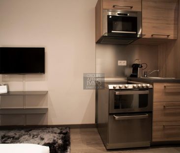 Appartement rénové Lyon - 1 pièce(s) - 16.5 m2 - Photo 5