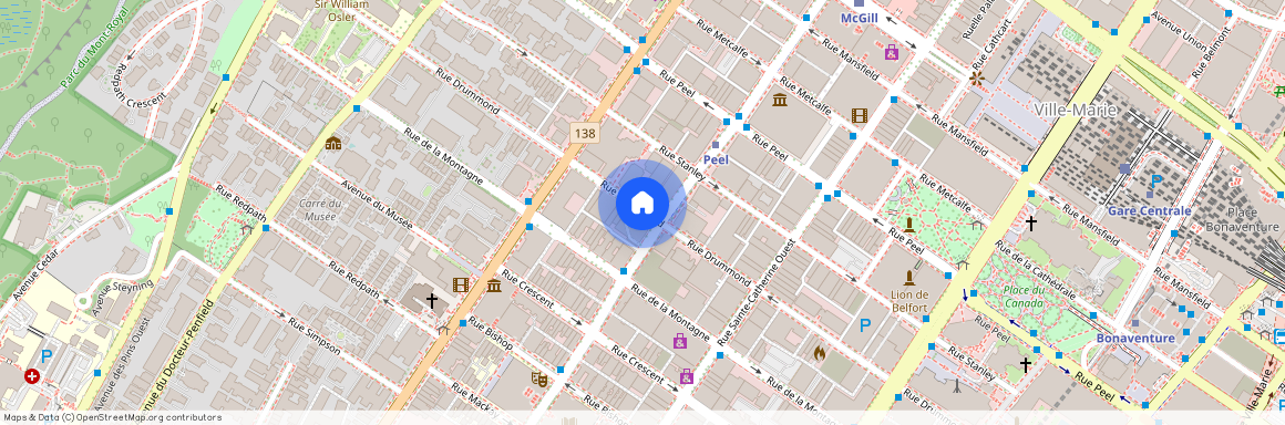 1245 Sherbrooke St West, Ville-Marie, Ville-Marie, Ile de Montréal, H3G 2X1