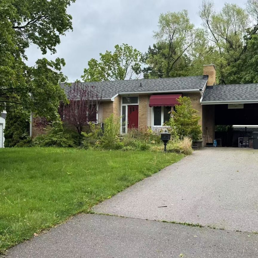 For Lease - 60 Paperbirch Drive Unit# LOWER, Toronto, Ontario - Photo 1