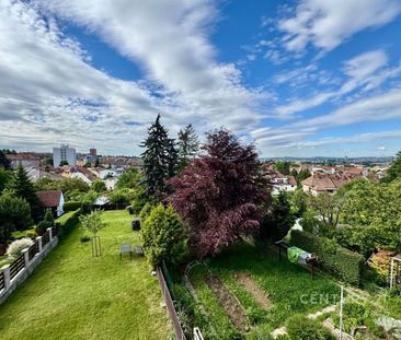Pronájem bytu 1+1 40 m², Viniční 2977, Brno - Photo 6