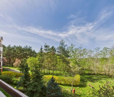 *Panoramiczne okno z tarasem - widok na las* - Фото 2