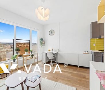 Brand New, Pet Friendly Studios For Rent - Photo 3