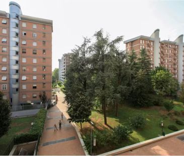 Via Sapri, Milan, Lombardy 20156 - Photo 6