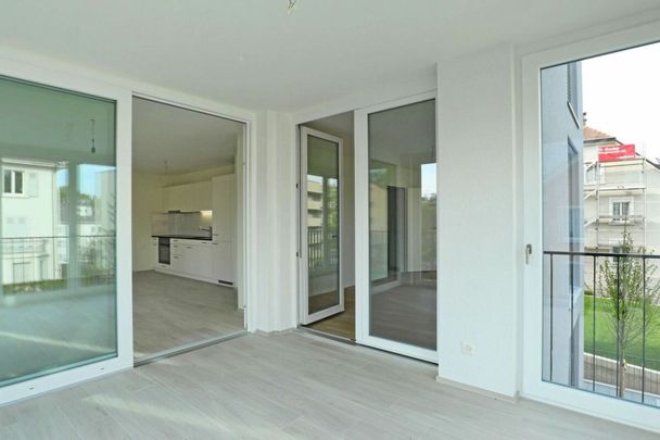 2.5 Zimmer, 62 m², 1. Stock - Photo 1
