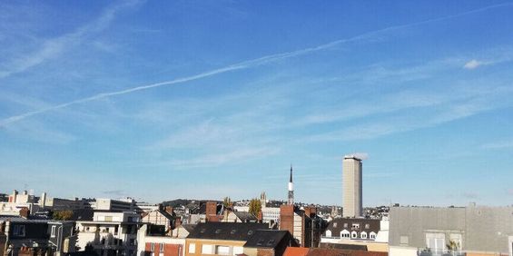 Location appartement 4 pièces 82.65 m² à Rouen (76100) - Photo 3